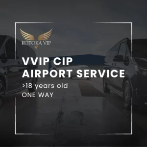 VVIP, CIP Lounge over 18 Years image