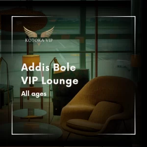 Addis Bole International Airport vip lounge