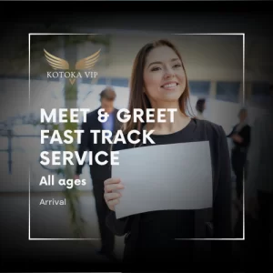 Blaise Diane International Airport Arrival fast track