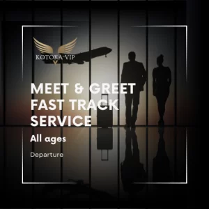 Julius Nyerere International Airport Departure fast track