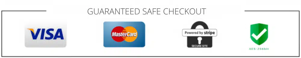 Payment processor we offer